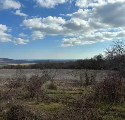 Снимка 4 — Парцел в Добрич, с. Рогачево