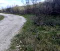 Снимка 3 — Парцел в Пловдив, с. Руен