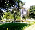 Снимка 4 — Парцел в Търговище, с. Садина
