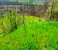 Снимка 2 — Парцел в Габрово, с. Саласука