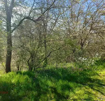 Photo 2 — Plot in Oblast Gabrovo, с. Саласука