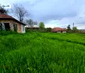 Снимка 4 — Парцел във Велико Търново, с. Самоводене