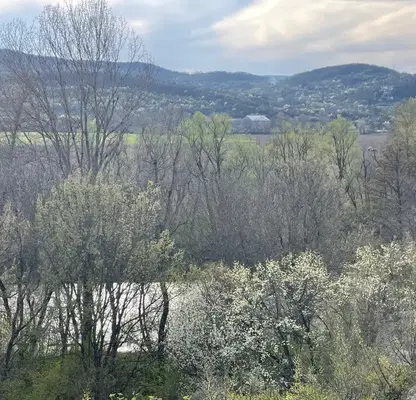 Photo 5 — Plot in Oblast Lovech, Slivek