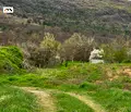 Снимка 3 — Парцел в Стара Загора, с. Сулица
