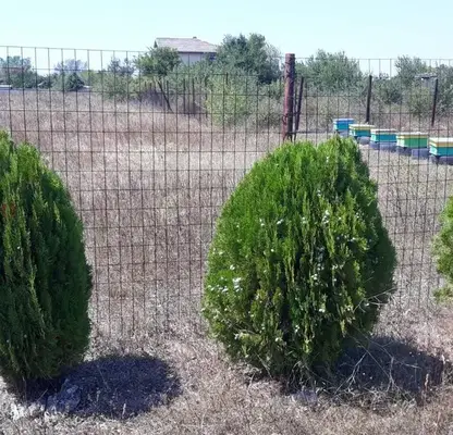Снимка 3 — Парцел в Добрич, с. Топола