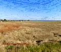 Снимка 2 — Парцел в Добрич, с. Тюленово