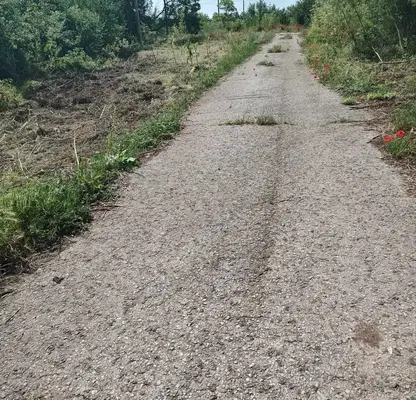 Photo 3 — Plot in Oblast Dobrich, Vaklino