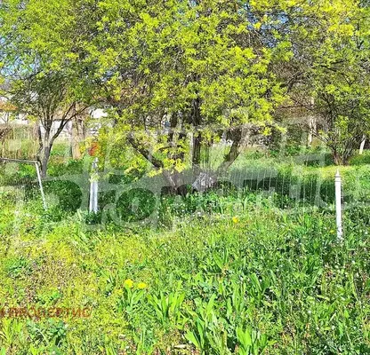 Photo 3 — Plot in Oblast Varna, Venchan