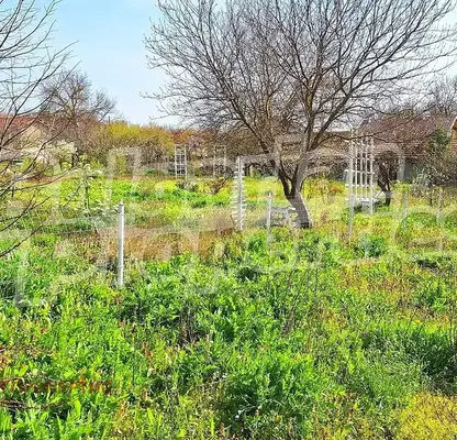 Photo 5 — Plot in Oblast Varna, Venchan