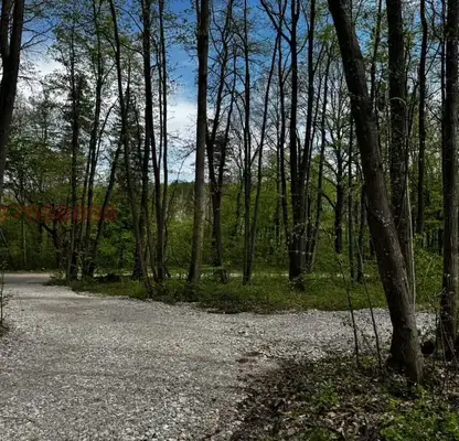 Photo 4 — Plot in Oblast Vraca, Veslec