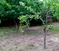 Снимка 5 — Парцел във Варна, с. Ветрино