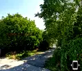 Снимка 2 — Парцел в Пазарджик, с. Виноец