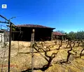 Снимка 2 — Парцел в Пазарджик, с. Виноец