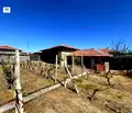 Снимка 3 — Парцел в Пазарджик, с. Виноец