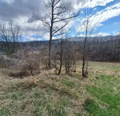 Photo 3 — Plot in Vladaya