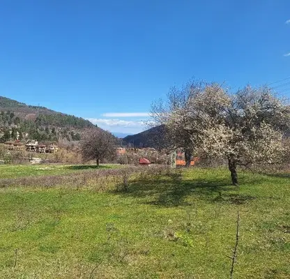 Photo 4 — Plot in Vladaya