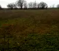 Снимка 2 — Парцел във Варна, с. Войводино