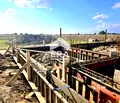 Снимка 2 — Парцел в Пловдив, с. Войводиново