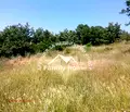 Снимка 3 — Парцел във Варна, с. Здравец