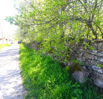 Photo 4 — Plot in Oblast Gabrovo, Zdravkovec