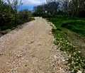 Снимка 4 — Парцел в Пловдив, с. Златитрап