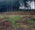 Снимка 2 — Парцел в Благоевград, Сандански