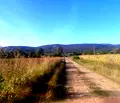 Снимка 5 — Парцел в Габрово, Севлиево