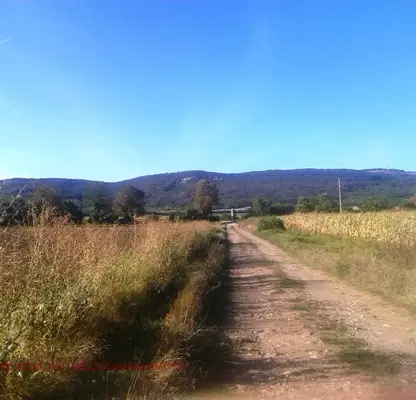 Photo 5 — Plot in Oblast Gabrovo, Sevlievo