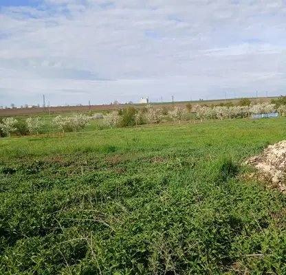 Photo 4 — Plot in Shumen, Mytnica