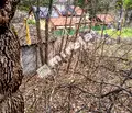 Снимка 4 — Парцел в София, Горна баня
