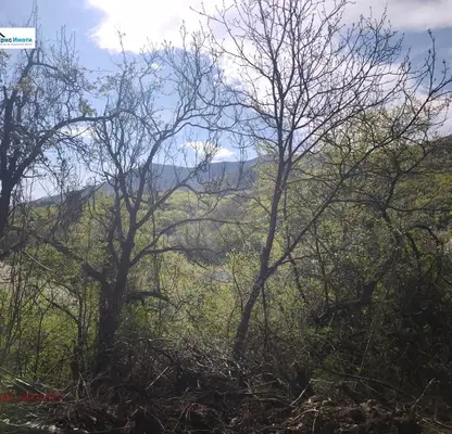 Photo 3 — Plot in Sofiya, Knyajevo
