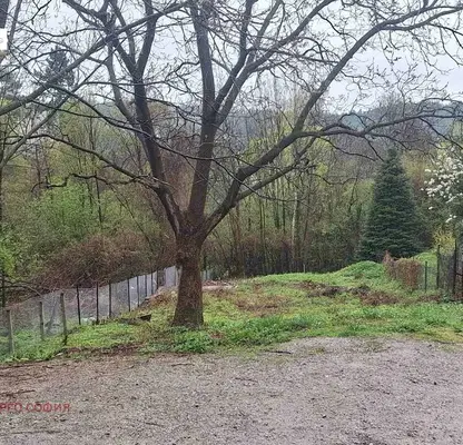 Photo 3 — Plot in Sofiya, Knyajevo