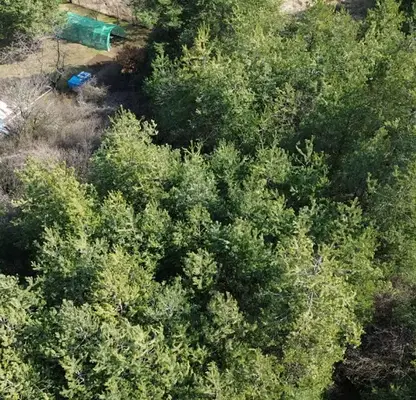 Photo 5 — Plot in Sofiya, м-т яз. Искър