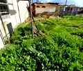 Снимка 3 — Парцел в Бургас, Созопол