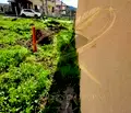 Снимка 4 — Парцел в Бургас, Созопол