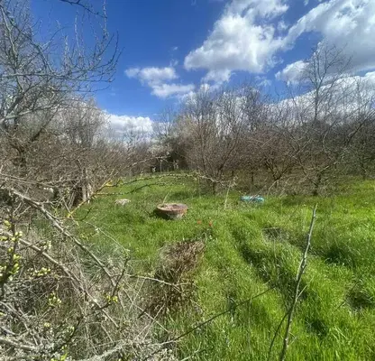 Photo 4 — Plot in Tyrgovishte, Vilna Zona