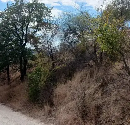 Photo 2 — Plot in Varna, Balam Dere