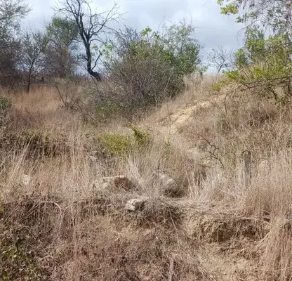 Photo 4 — Plot in Varna, Balam Dere
