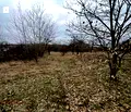 Снимка 5 — Парцел във Варна, м-т Боровец - север
