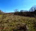 Снимка 2 — Парцел във Варна, м-т Боровец - юг