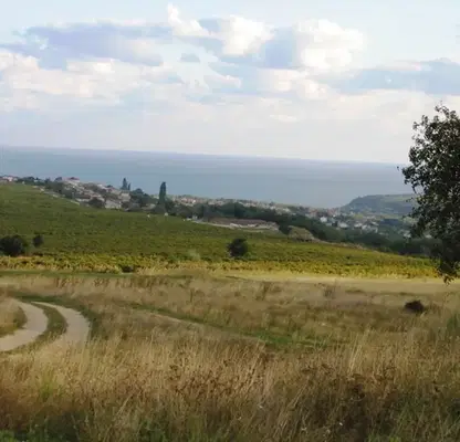 Photo 2 — Plot in Varna, Borovec - Yug