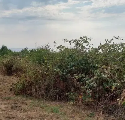 Photo 5 — Plot in Varna, Borovec - Yug