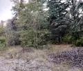 Снимка 2 — Парцел във Варна, м-т Добрева чешма