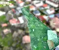 Снимка 3 — Парцел във Варна, м-т Долна Трака