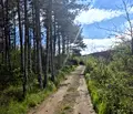 Снимка 4 — Парцел във Варна, м-т Горна Трака