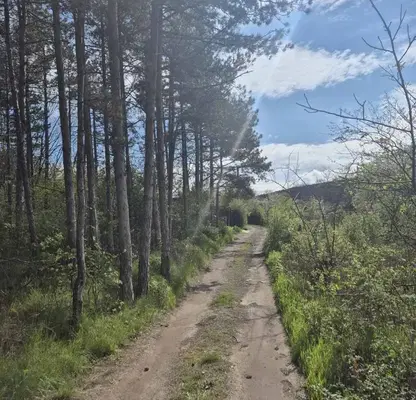 Снимка 4 — Парцел във Варна, м-т Горна Трака
