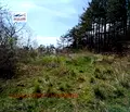 Снимка 4 — Парцел във Варна, м-т Манастирски рид