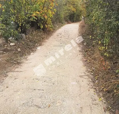 Photo 3 — Plot in Varna, Planova