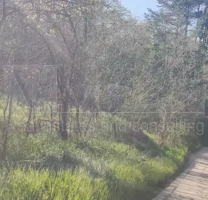 Photo 3 — Plot in Varna, Sotira