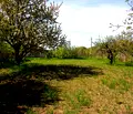 Снимка 2 — Парцел в Разград, Завет